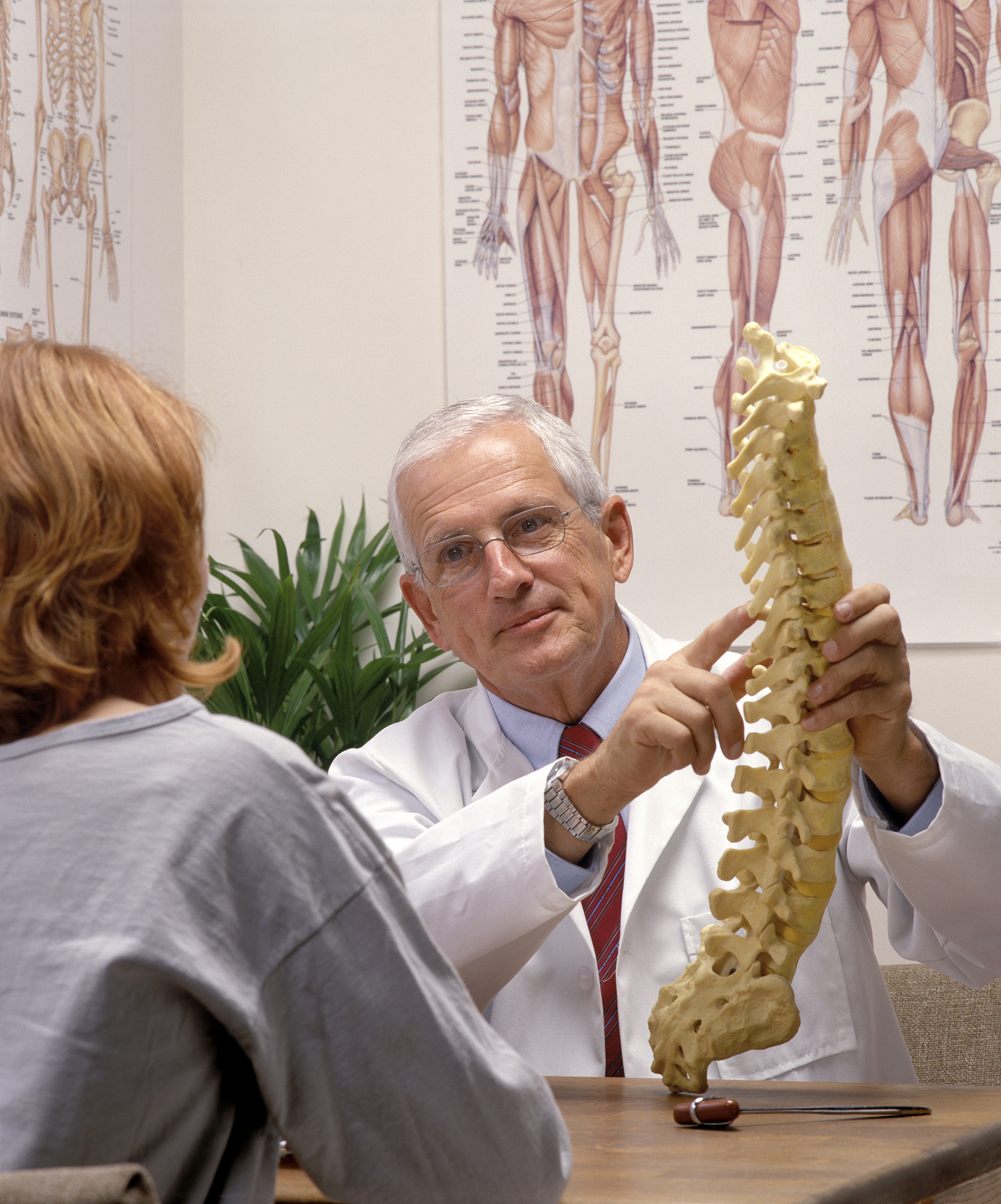 Doctor Holding a Backbone Model
